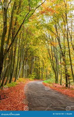 夢(mèng)幻情天（0.1折扣版） 三國(guó)策略手游的網(wǎng)絡(luò)技術(shù)研發(fā)探秘