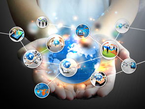 跨界風潮來襲 網絡技術研發的“風口尋豬”之道